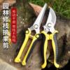 Garden Pruning Shears, Flower Shears, Gardening Scissors, Floral Scissors, Branch Shears, Fruit Tree Scissors, Branch Pruners, Flower Pruning Scissors