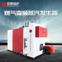 Shuangfeng gas steam generator natural gas steam energy saving 1 ton