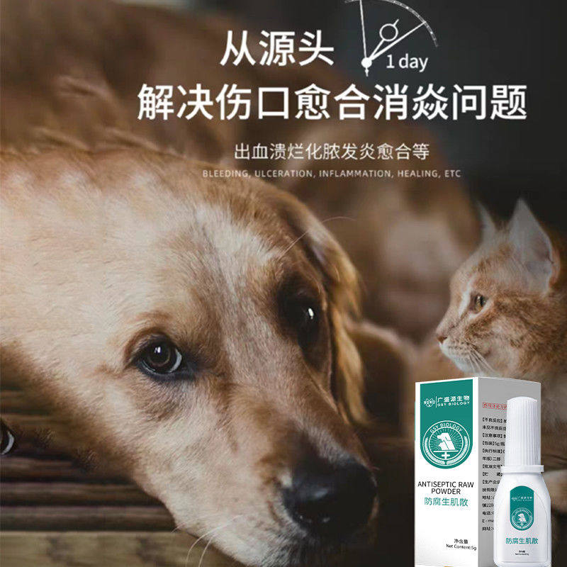 Hemostatic powder for pets, cats and dogs, general-purpose quick-coupling trauma antiseptic myogenic nails, external wound healing medicine