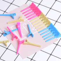 Hairdressing positioning hot clip pickup road texture spring shape PP partition clip hair salon cold hot positioning clip small hair root