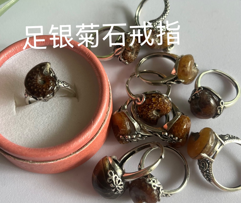 Natural Marine Ancient Biological Fossil Jade Snail Small Slice S925 Silver Vintage Ring Versatile Style