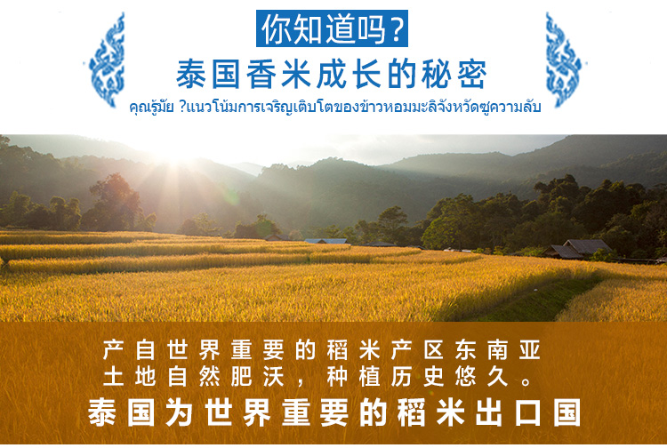 泰国原粮进口 王家粮仓 长粒香米 20斤 图4