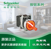  Schneider Selector switch LED 220V yellow with light 1NO 1NC XB4BK125M5