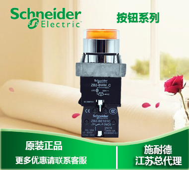 (original dress) Schneider yellow with lamp button DC 24V XB2BW35B1C