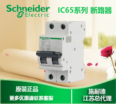 New Schneider Miniature Circuit Breaker IC65N 2P C10A A9F18210