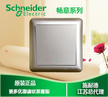 Schneider switch socket Changyi series gold 86 type switch panel one-open multi-control three-control midway switch