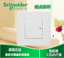 Schneider Switch Socket Light Point Classic White Single Union Single Control Single Open Single Control Opening Single Control Socket panel