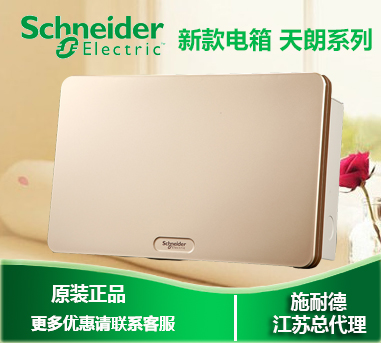 Original Schneider Electric Tianlang series concealed golden door 16-position distribution box 16-circuit strong electric box