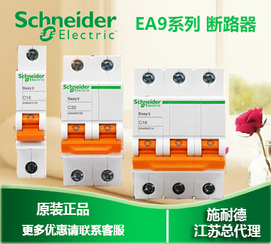 Schneider Circuit Breaker Air Switch Easy9 Series Type C 1P 2P 3P 16A 20A 32A 63A