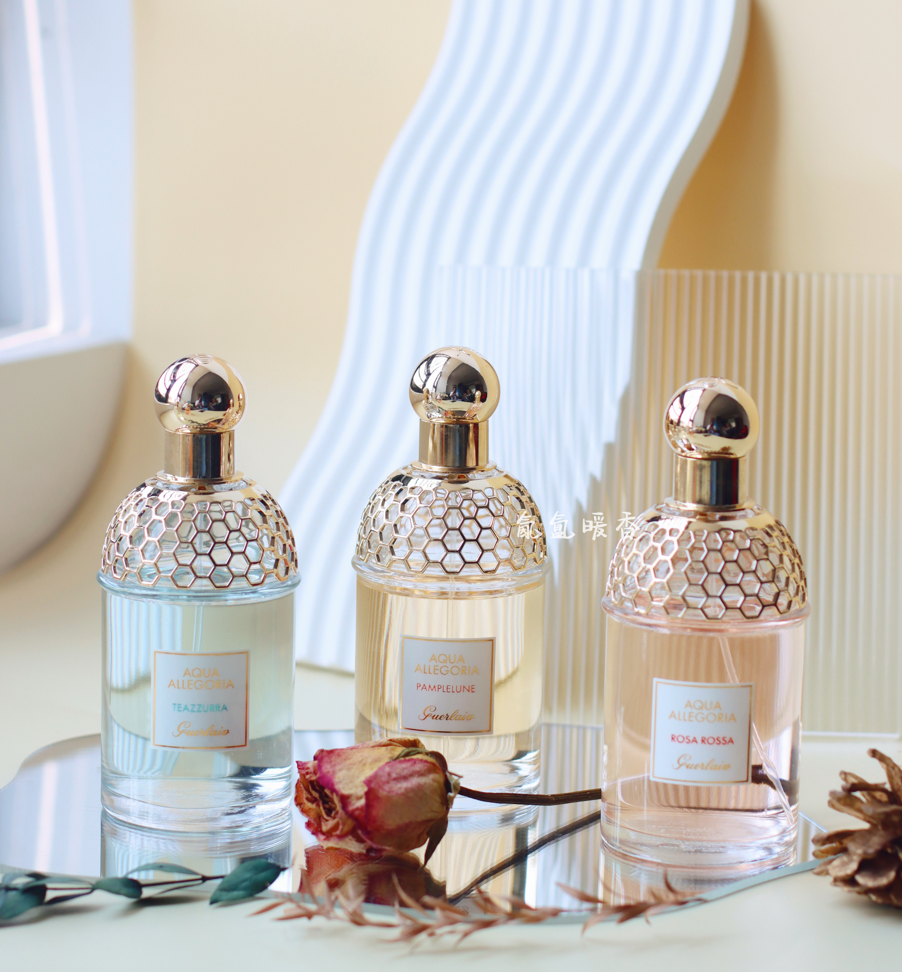 Bonded delicate Wizard of Spicy Ginger citrus citrus citrus citrus citrus pour orange mint grass Sydney ice sand