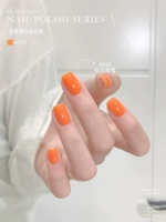 A035_Fall Осенний фестиваль апельсин