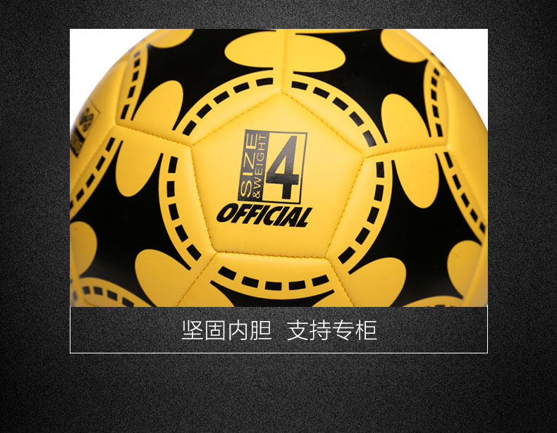 Ballon de football - Ref 7486 Image 22