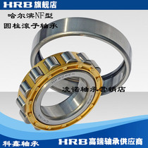 Harbin HRB cylindrical roller bearing N NF 312313314315 E EM ECP C3