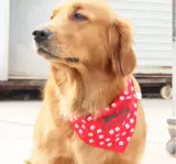 Шарф, слюнявчик, нагрудник для еды