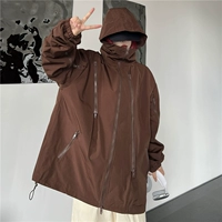 B1832 Обычный темно -коричневый