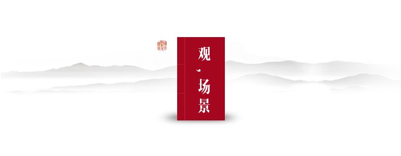 Tangluxiang gỗ long não hộp gỗ sồi thư pháp và bộ sưu tập hộp lưu trữ hộp lưu trữ hộp rắn gỗ cổ gỗ sơn hộp - Cái hộp hộp lưu trữ