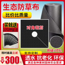  Single sheet perforated ecological grass-proof cloth weeding cloth Orchard fruit tree ground cloth Durable agricultural new citrus cover grass film