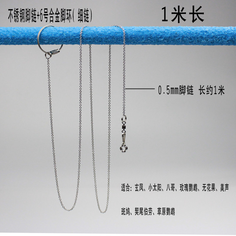 ) Stainless Steel Bird Iron Chain Bolt Bird Chain Parrot Foot Chain Foot Chain Wren Toe Rope Small Bird Foot Ring