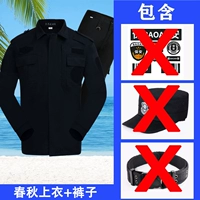 Весна и осенняя вершина+брюки [исключая аксессуары]