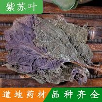 Whole perilla leaves 500g fresh edible perilla leaves dried purple perilla Chinese medicinal materials for foot soaking perilla leaf powder