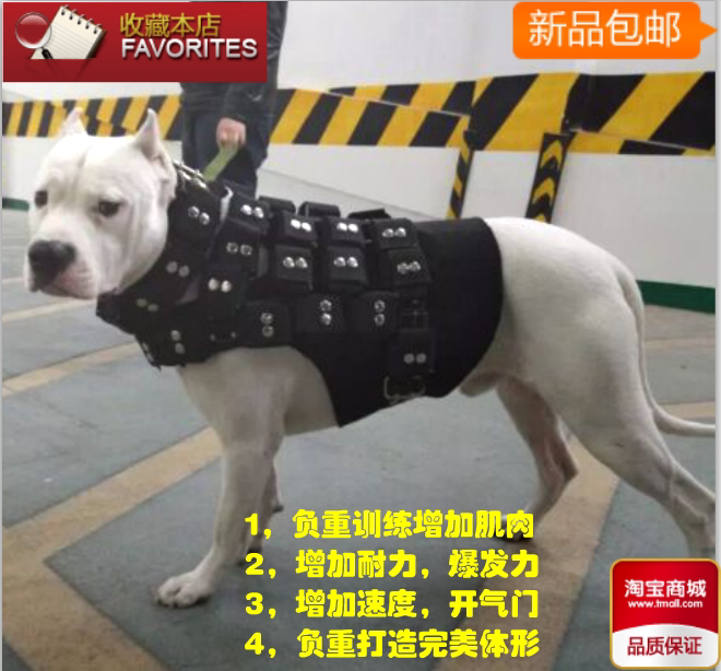 Large Dog Bulldog Fighting Dog Special Dog Training Supplies Equipment Weight-Bearing Harness Chest and Back Collar Including Iron Block 