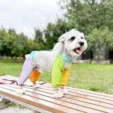 Одежда для домашних животных, четвероногие штаны для защиты от грязных ног, брюки для защиты от пыли, мочи и грязи, брюки для ног Тедди Шнауцера