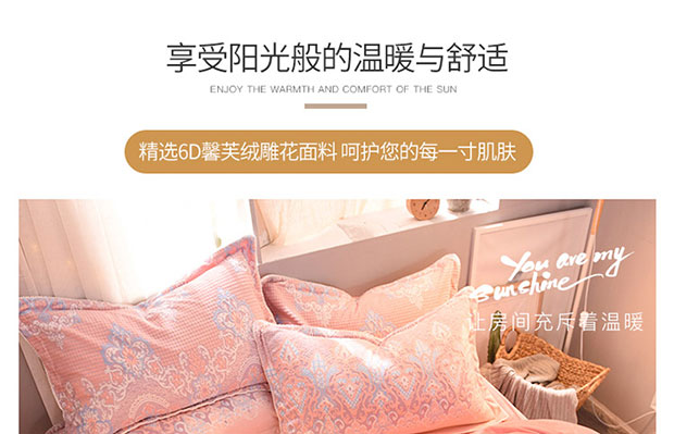 5D khắc gia đình nhung san hô bốn luật Levin cashmere flannel mùa đông dày hai mặt giường pha lê nhung vải quilt - Bộ đồ giường bốn mảnh chăn gối