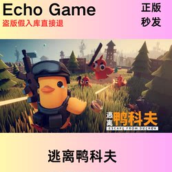 Steam Official China Region Escape from Duckov Pc Activation Code Added to Library