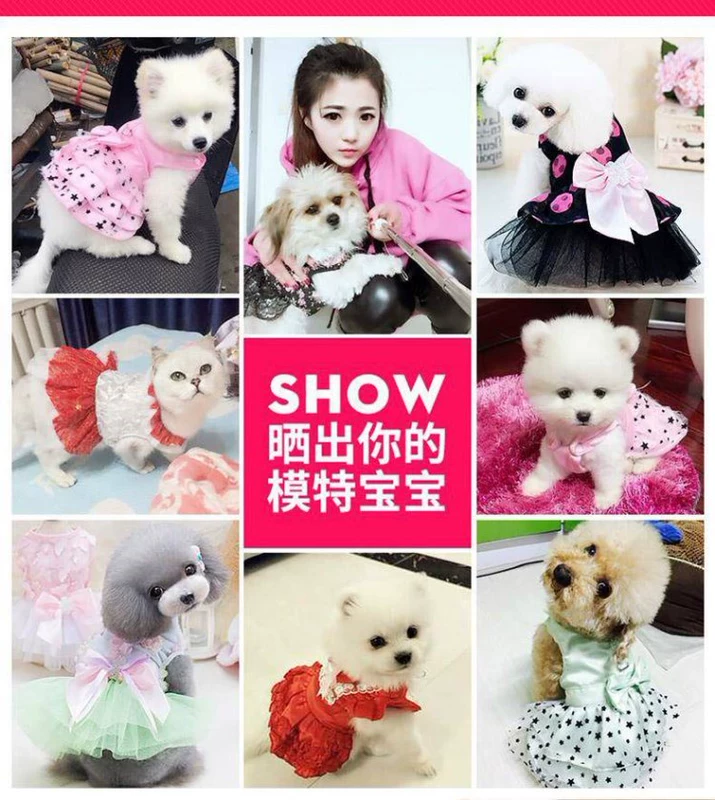 Teddy dog ​​mùa hè mặc quần áo ánh sáng chó cưng mùa hè phiên bản Hàn Quốc mát mẻ của chó chó sáng tạo mẫu chống nắng - Quần áo & phụ kiện thú cưng