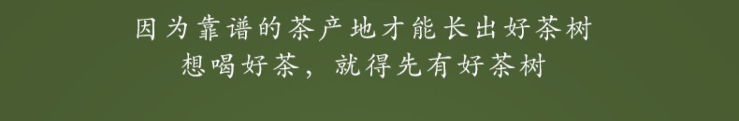 【金骏眉】武夷山正宗红茶茶叶