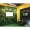 Nhà máy mô phỏng tường cây xanh tường nhựa giả hoa cỏ trang trí tường cỏ xanh tường nền tường hình ảnh tường - Hoa nhân tạo / Cây / Trái cây