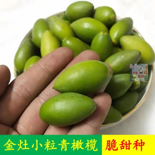 Chaoshan Youth Crisp Sweet Seed Olives No Residue Fresh Olive Fruit Pregnant Woman A Catty