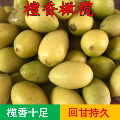 Fresh yellow olive green olive sandalwood sweet yellow peel olive fruit olive green fruit pregnant pregnant woman clear fetal poison fruit 500g