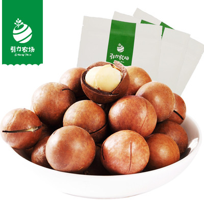 【引力农场】夏威夷果装奶油味168g