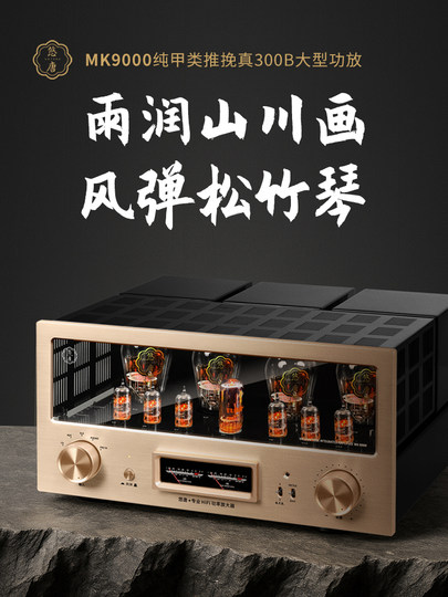 Youtang Mk9000 Tube Amplifier Audiophile-Grade 300B Tube Amplifier Pure Class a Push-Pull High-End Hifi Tube Amplifier