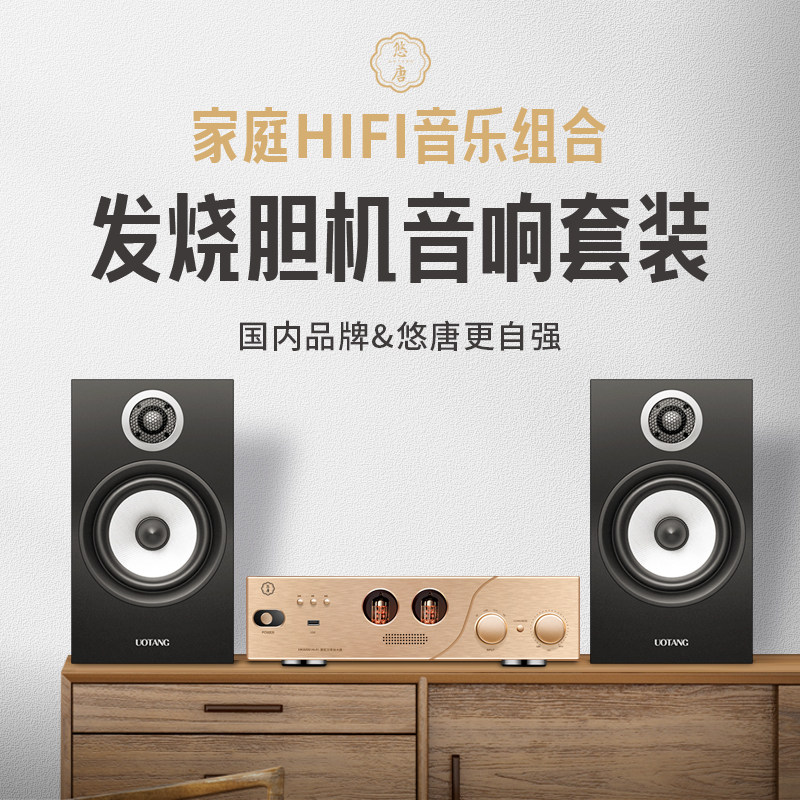 Yo-yo D338 Gallbladder Combinator Acoustics Suit CD Machine Home Hifi Hair Burning Grade Speaker Electronic Tube Power Release Machine