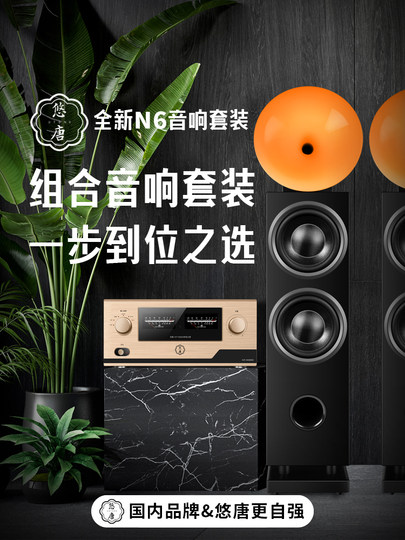 Youtang N6/N7 Audiophile-Grade Hifi Audio System Set with High-Fidelity Amplifier, Horn Dual 8inch Floor-Standing Speakers