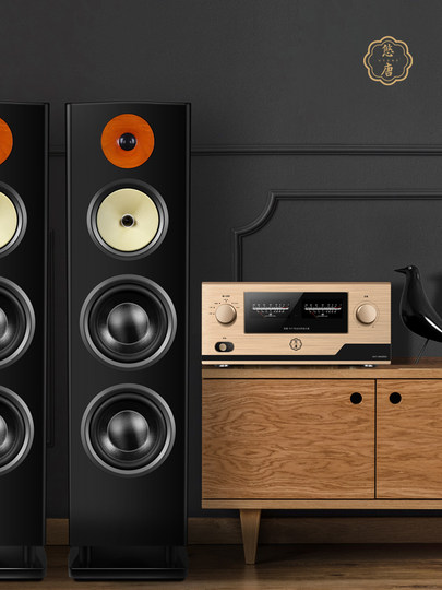 Youtang N6/N7 Audiophile-Grade Hifi Audio System Set with High-Fidelity Amplifier, Horn Dual 8inch Floor-Standing Speakers