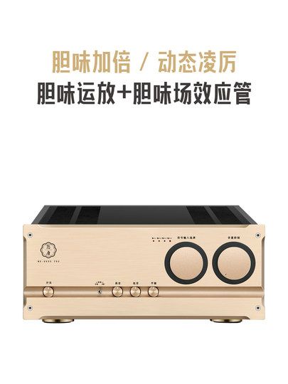 Utang MK8600pro amplificador de alta potencia HiFi de grado de fiebre, amplificador puro A/Clase A y B de etapa trasera para el hogar