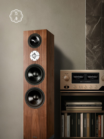 悠唐 T718发烧级hifi无源音箱双8英寸音响高中低音三分频落地音箱