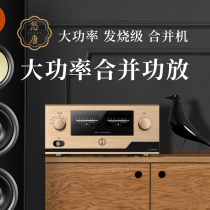 Yotang MK8900 high-fidelity power amplifier Home fever combined professional high-power HIFI audio amplifier