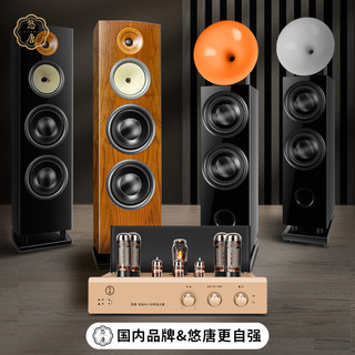 悠唐N3 N5发烧级HIFI纯胆机落地音箱组合套装家用功放落地箱音响