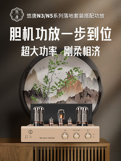 Youtang N3 N5 Audiophile-Grade Hifi Pure Tube Amplifier Floor-Standing Speaker Combo Set Home Amplifier Floor-Standing Speaker System