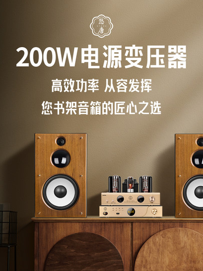 Youtang Mk8500 Tube Amplifier Class a Audiophile-Grade Power Amplifier Hifi Audiophile Tube Single-Ended Pure Tube Amplifier Audio