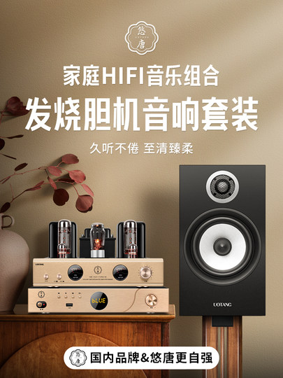 Youtang D538 Tube Amplifier Hifi Audiophile-Grade Cd Player Combination Audio Home Bluetooth Tube Speaker Set