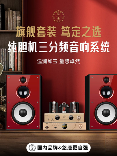 U-Tang D598 Verstärker-Kombination, Audio-HiFi-Audiophile-Heim-Bluetooth-CD-Player, Röhrenverstärker-Lautsprecherset