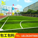 Упаковка Wagger Football Stadium Пять или семи человек сделали работники симуляции спортивных спортив