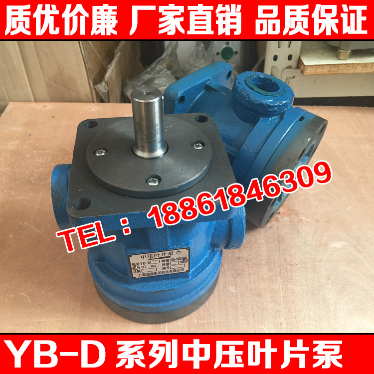 Medium pressure vane pump YB-D25 YB-D32 YB-D32 YB-D50 YB-D63 YB-D63 YB-D80 YB-D100 YB-D100 YB-D100