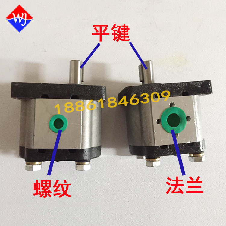 High pressure gear pump CBN-G304 CBN-G308 CBN-G316 CBN-G314 CBN-G318 G320