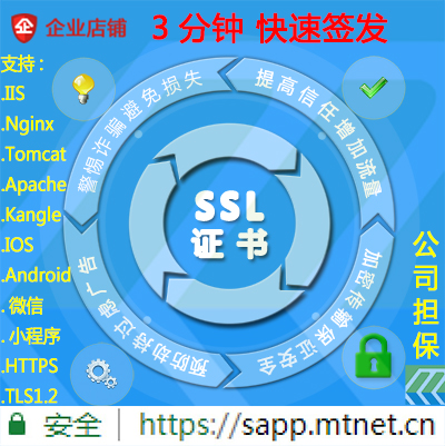 SSL Certificate Comodo Single Domain Fully Compatible Https Anti-Hijacking Install Mini Program TLS Android IOS